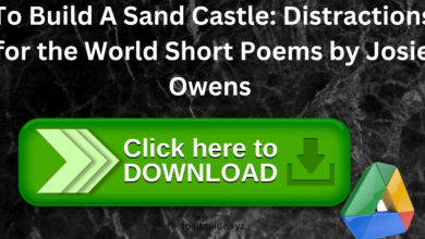 To-Build-A-Sand-Castle-Distractions-for-the-World-Short-Poems-by-Josie-Owens